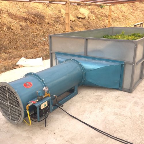 Secadora SIRCA a gas para Moringa